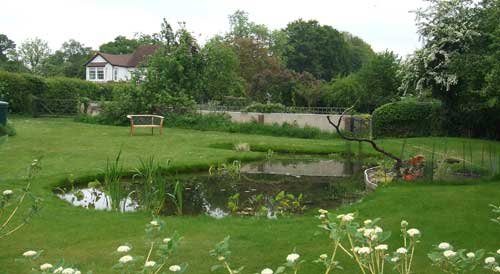 School Ponds